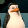 TimLP148